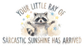 Sarcastic Sunshine Raccoon Ray of Sunshine