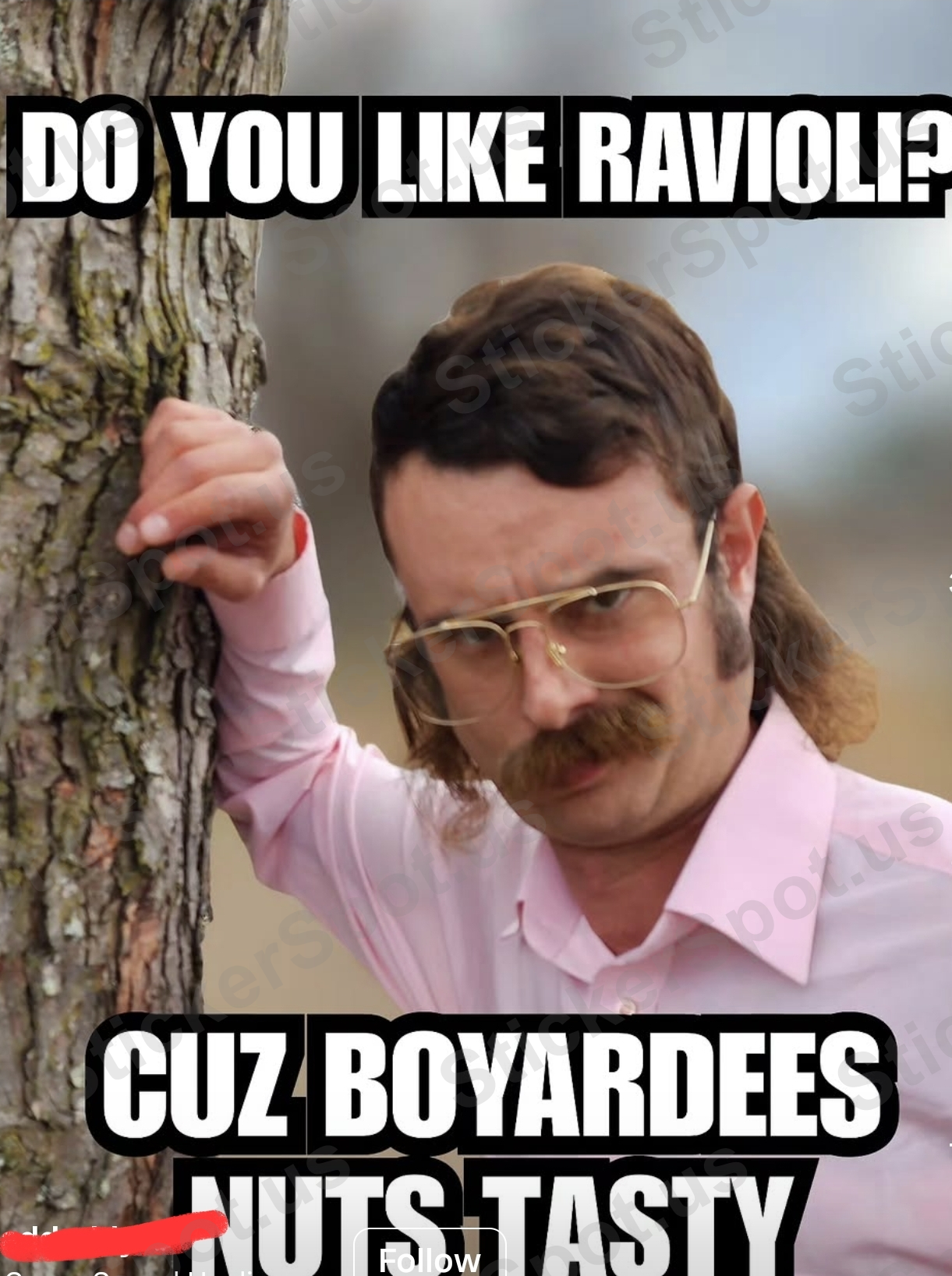 Do You Like Ravioli? Funny Meme Quote
