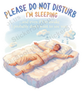 Please Do Not Disturb I'm Sleeping Humorous Design