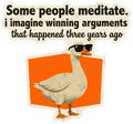 Goose Meditate? I Win Arguments Funny Quote