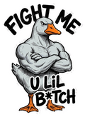 Fight Me Goose Meme Funny Sarcastic Die-Cut