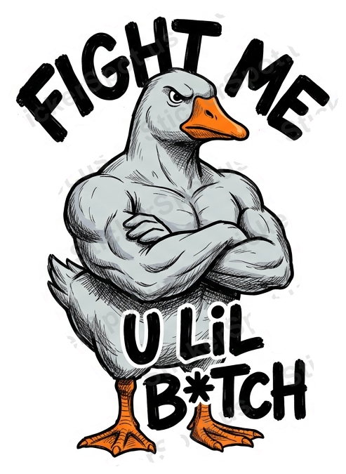 Fight Me Goose Meme Funny Sarcastic Die-Cut