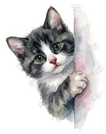 Peeking Gray Tabby Kitten Watercolor Cat Art